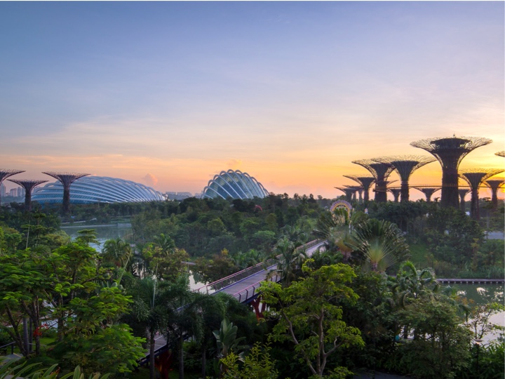Gardens by the Bay