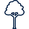 tree icon