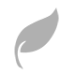 leaf-icon